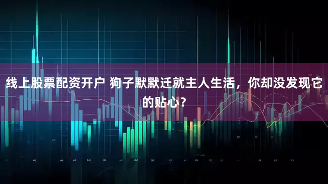 线上股票配资开户 狗子默默迁就主人生活，你却没发现它的贴心？