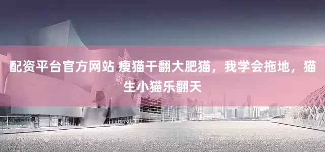 配资平台官方网站 瘦猫干翻大肥猫，我学会拖地，猫生小猫乐翻天