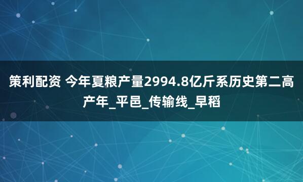 策利配资 今年夏粮产量2994.8亿斤系历史第二高产年_平邑_传输线_早稻