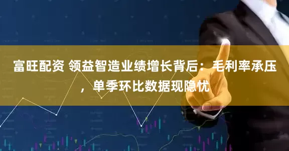 富旺配资 领益智造业绩增长背后：毛利率承压，单季环比数据现隐忧