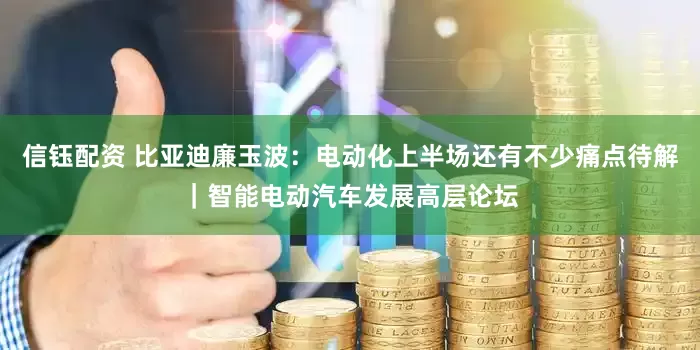 信钰配资 比亚迪廉玉波：电动化上半场还有不少痛点待解｜智能电动汽车发展高层论坛